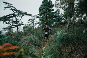 BIB: 
                            <button type="button" onclick="openModal(25260337)" class="btn btn-primary btn-sm float-right btn-popup" data-toggle="modal" data-target=".modal-high-quality">
                        <i class="fas fa-shopping-cart"></i> Add to Cart
                    </button>
                                            <button type="button" onclick="isThisMe(25260337, true)" class="btn btn-success btn-sm float-right btn-popup btn-isme hidden" data-toggle="tooltip" data-placement="bottom" title="นี่คือรูปของคุณใช่ไหม คลิกที่นี่เพื่อเอาเข้าอัลบั้ม">
                        <i class="fas fa-plus"></i> Add to album
                    </button>
                    <button type="button" onclick="isThisMe(25260337, false)" class="btn btn-warning btn-sm float-right btn-popup btn-isnotme hidden">
                        <i class="fas fa-ban"></i> Remove from album
                    </button>